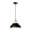 Светильник подвесной Ambrella Light TR8192