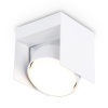 Светильник накладной точечный поворотный Ambrella Light TN70841