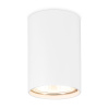 Светильник накладной точечный Ambrella Light TN213108