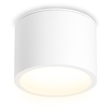 Светильник накладной точечный Ambrella Light TN6550