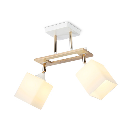 Светильник подвесной Ambrella Light TR9501