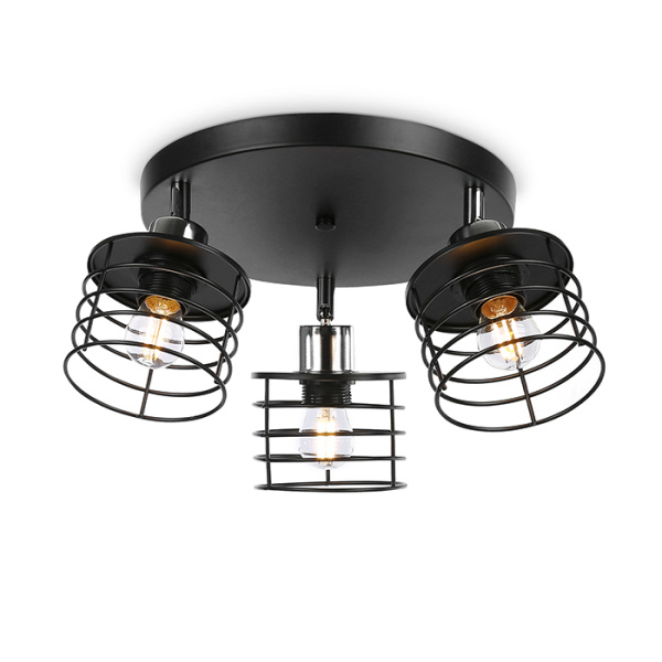 Светильник настенно-потолочный Ambrella Light TR8092