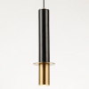 Светильник подвесной Rebus TUUS TLB-R0117-040-BL