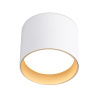 Светильник накладной точечный Ambrella Light TN5304