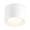 Светильник накладной точечный Ambrella Light TN5321