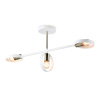 Светильник подвесной Ambrella Light TR8228