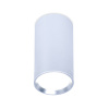Светильник накладной точечный Ambrella Light TN219