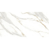 Керамогранит Infiniti Statvari Soft  NT Ceramic NTTHS99805D