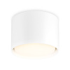 Светильник накладной точечный Ambrella Light TN5301