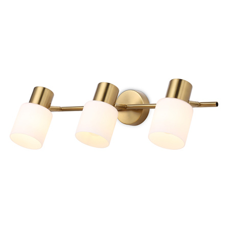 Спот настенно-потолочный Ambrella Light TR3972
