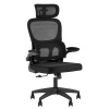 Кресло офисное TopChairs Core Expert чёрный Stool Group OUE-2529 black