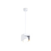 Светильник подвесной Ambrella Light TN70852