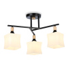 Светильник подвесной Ambrella Light TR9493