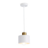 Светильник подвесной Ambrella Light TR8112