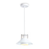 Светильник подвесной Ambrella Light TR8171