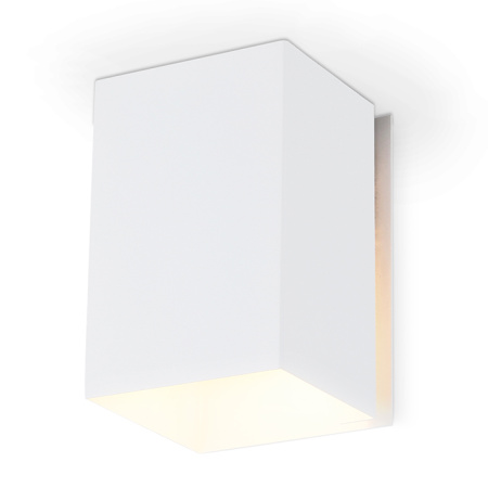 Светильник накладной Ambrella Light TN5111