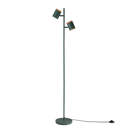 Торшер Asheswood Moderli V11290-2F