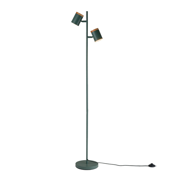 Торшер Asheswood Moderli V11290-2F