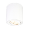 Светильник накладной точечный поворотный Ambrella Light TN22701
