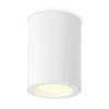 Светильник накладной точечный Ambrella Light TN22797