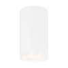 Светильник накладной точечный Ambrella Light TN213133