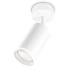 Спот накладной с выключателем Ambrella Light TA120