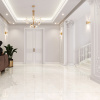 Керамогранит Onyx Predo NT Ceramic NTT99504P