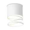 Светильник накладной точечный Ambrella Light TN71103