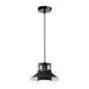 Светильник подвесной Ambrella Light TR8172