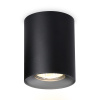 Светильник накладной точечный Ambrella Light TN213137