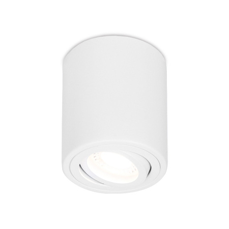 Светильник накладной точечный поворотный Ambrella Light TN225
