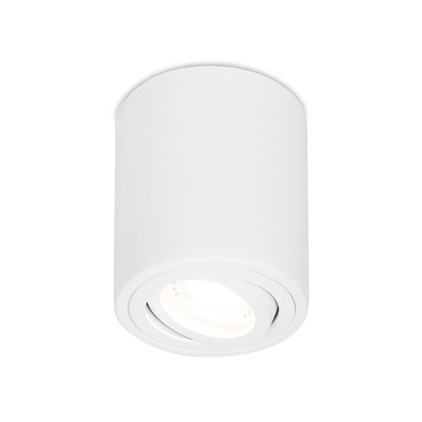 Светильник накладной точечный поворотный Ambrella Light TN225