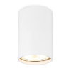 Светильник накладной точечный Ambrella Light TN213101