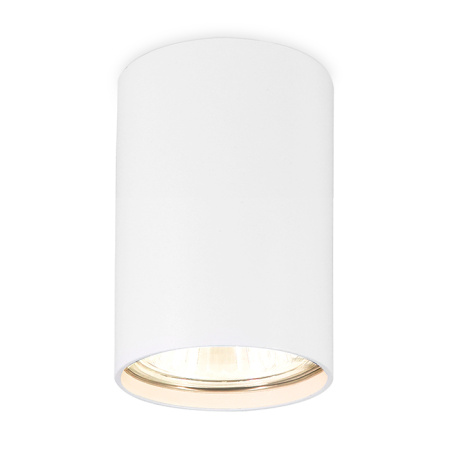Светильник накладной точечный Ambrella Light TN213101