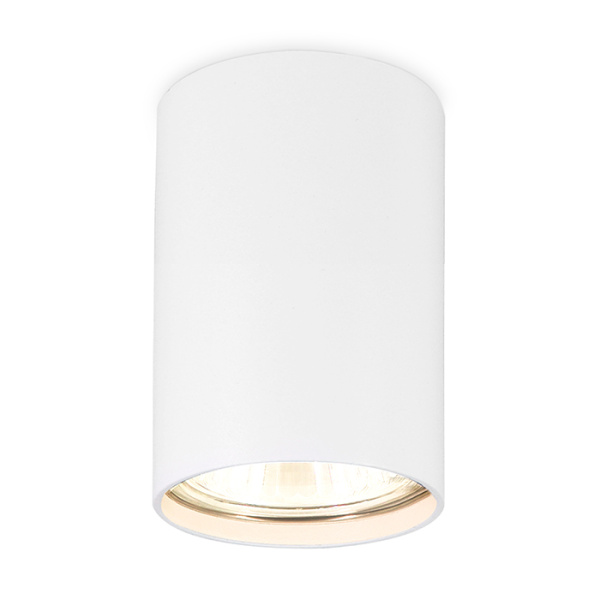 Светильник накладной точечный Ambrella Light TN213101