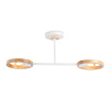 Светильник подвесной Ambrella Light TR8243
