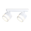 Спот настенно-потолочный поворотный Ambrella Light TN71161