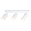 Спот настенно-потолочный поворотный Ambrella Light TN51688