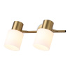 Спот настенно-потолочный Ambrella Light TR3969