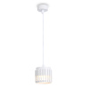 Светильник подвесной Ambrella Light TN71170