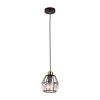 Светильник подвесной Ambrella Light TR5875