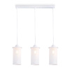 Светильник подвесной Ambrella Light TR8163