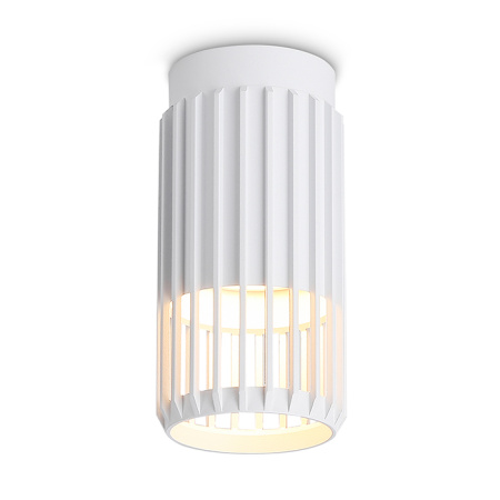Светильник накладной точечный Ambrella Light TN51672